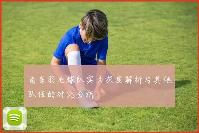 南京羽毛球队实力深度解析与其他队伍的对比分析