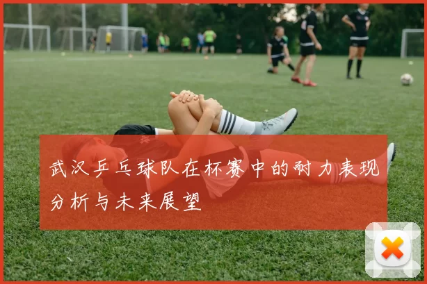 武汉乒乓球队在杯赛中的耐力表现分析与未来展望